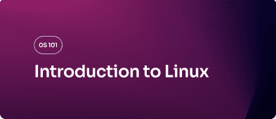 Sabilink OS 101 curriculum illustration